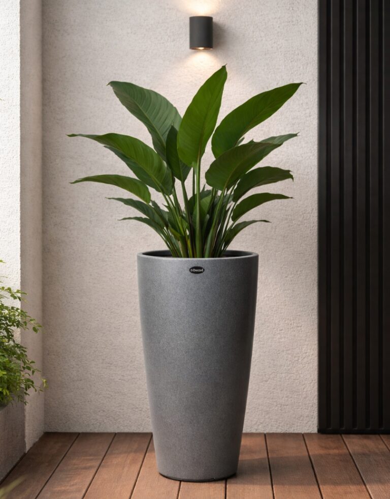 ABOUT INTERMOLDE IMAGE