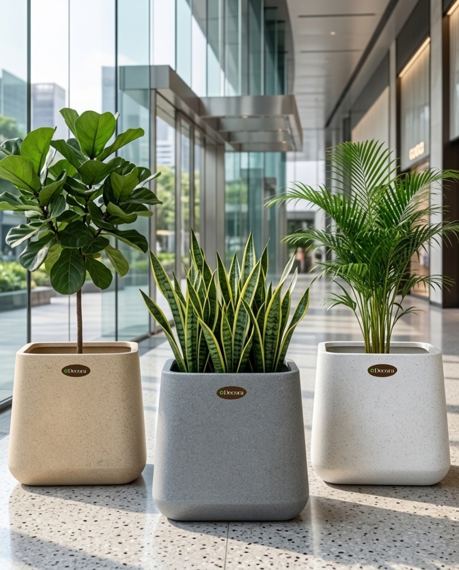 Flora Square