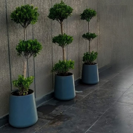 Decora Pots Galary Visual four