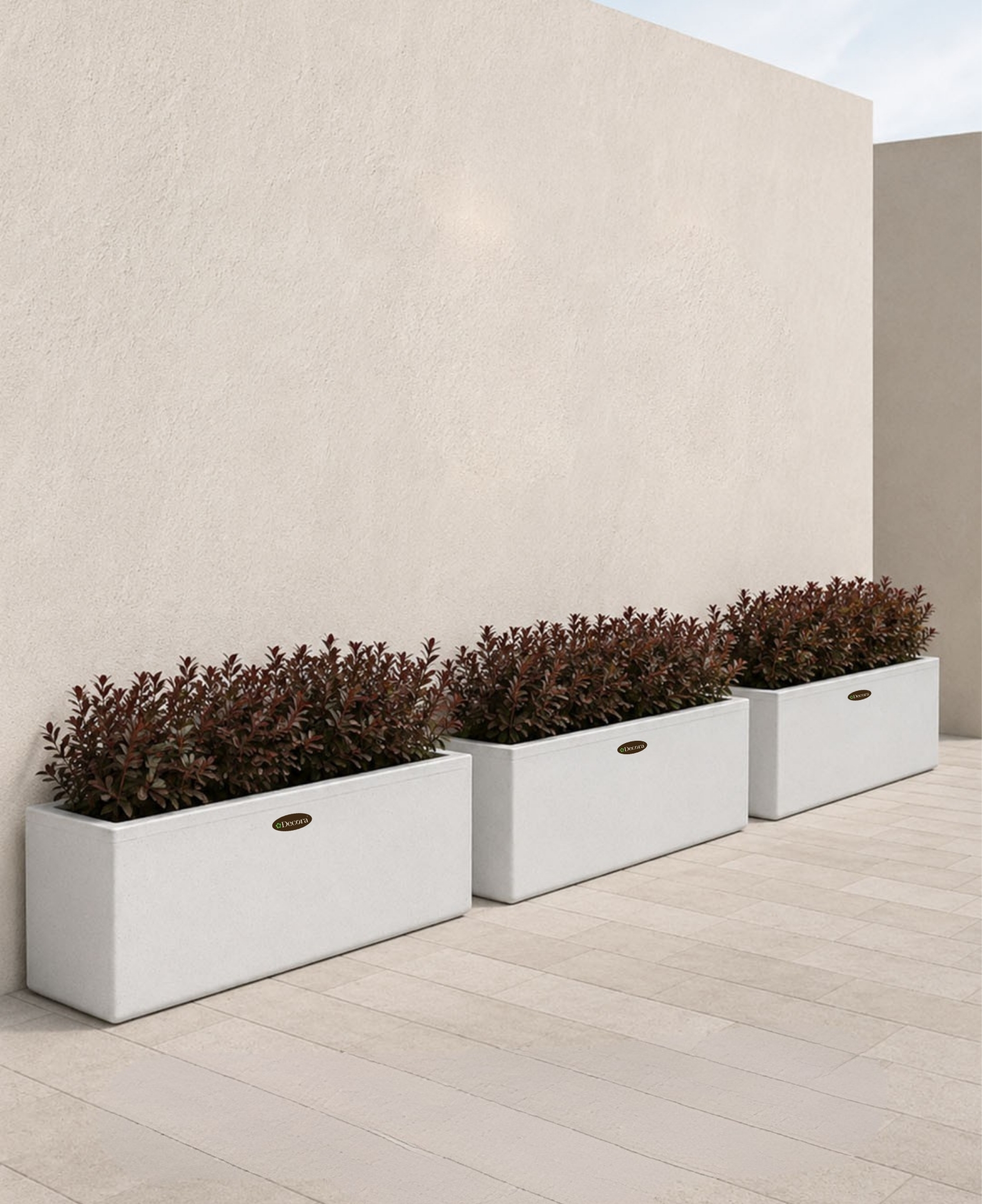 Large Planters bangalore